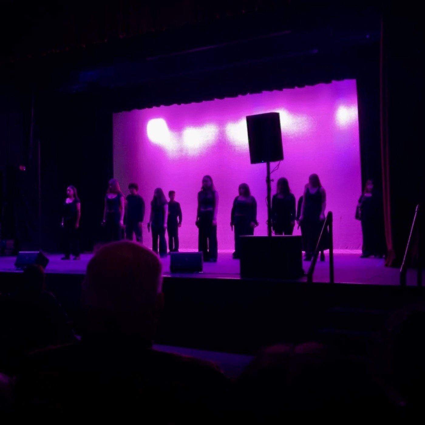 Tonal Point on stage in purple light